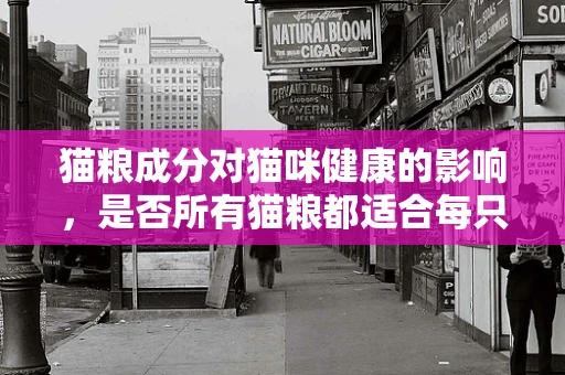 猫粮成分对猫咪健康的影响，是否所有猫粮都适合每只猫？