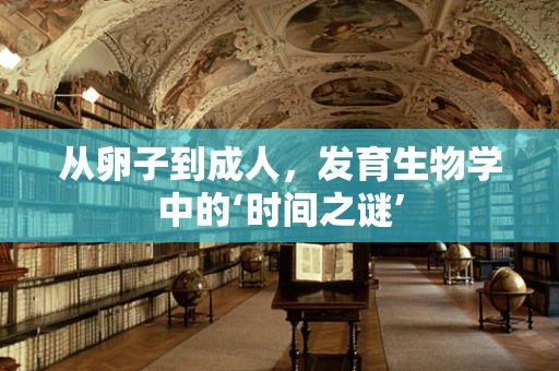 从卵子到成人，发育生物学中的‘时间之谜’