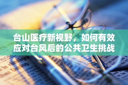 台山医疗新视野，如何有效应对台风后的公共卫生挑战？