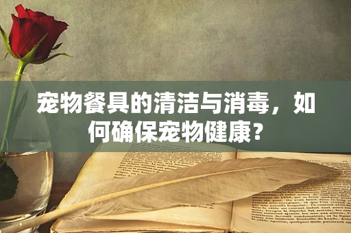 宠物餐具的清洁与消毒，如何确保宠物健康？
