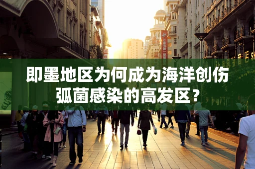 即墨地区为何成为海洋创伤弧菌感染的高发区？