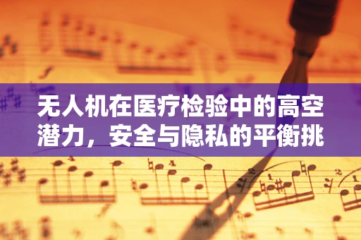 无人机在医疗检验中的高空潜力，安全与隐私的平衡挑战