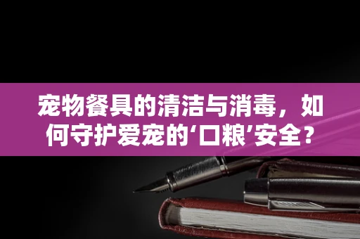 宠物餐具的清洁与消毒，如何守护爱宠的‘口粮’安全？