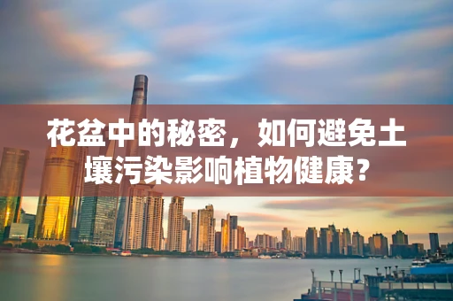 花盆中的秘密，如何避免土壤污染影响植物健康？