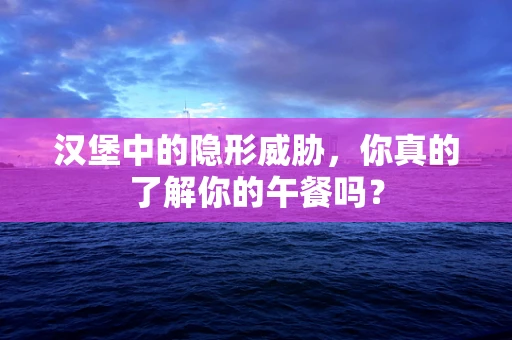 汉堡中的隐形威胁，你真的了解你的午餐吗？
