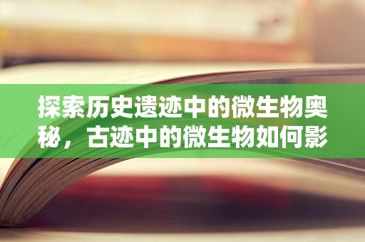 探索历史遗迹中的微生物奥秘，古迹中的微生物如何影响文物保护？