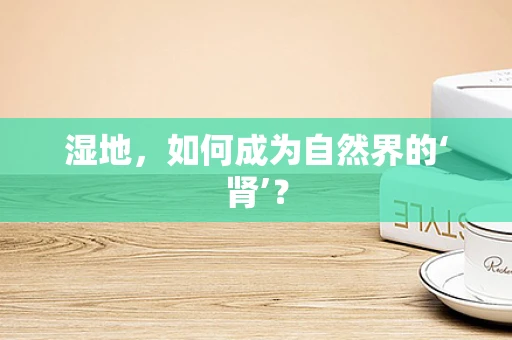 湿地，如何成为自然界的‘肾’？