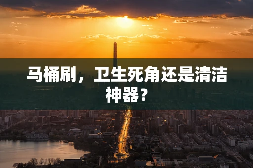 马桶刷，卫生死角还是清洁神器？