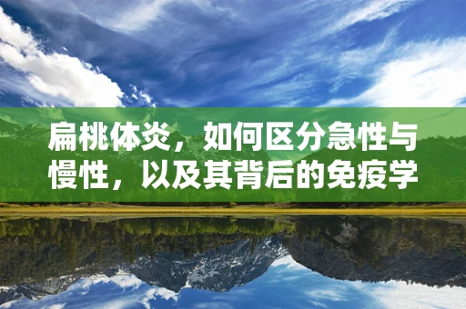 扁桃体炎，如何区分急性与慢性，以及其背后的免疫学意义？