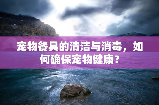 宠物餐具的清洁与消毒，如何确保宠物健康？