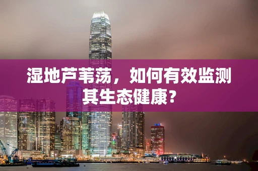 湿地芦苇荡，如何有效监测其生态健康？