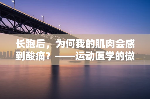 长跑后，为何我的肌肉会感到酸痛？——运动医学的微观视角