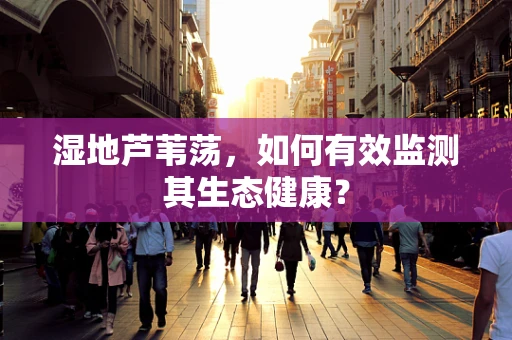 湿地芦苇荡，如何有效监测其生态健康？