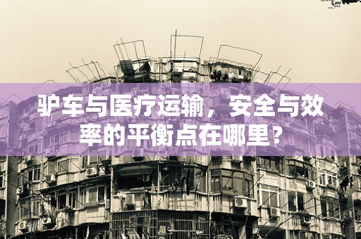 驴车与医疗运输，安全与效率的平衡点在哪里？