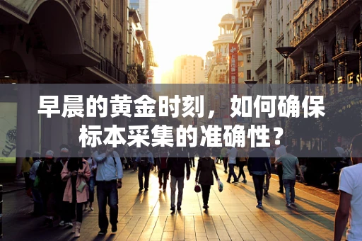 早晨的黄金时刻，如何确保标本采集的准确性？