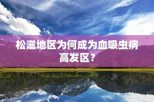 松滋地区为何成为血吸虫病高发区？