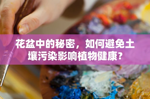 花盆中的秘密，如何避免土壤污染影响植物健康？
