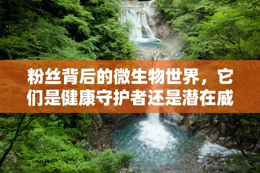 粉丝背后的微生物世界，它们是健康守护者还是潜在威胁？