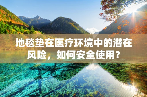 地毯垫在医疗环境中的潜在风险，如何安全使用？