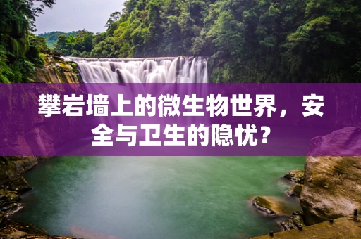 攀岩墙上的微生物世界，安全与卫生的隐忧？
