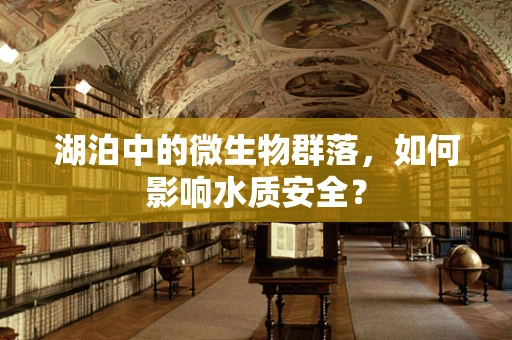 湖泊中的微生物群落，如何影响水质安全？