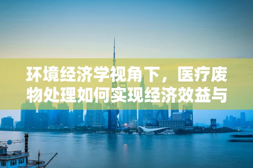 环境经济学视角下，医疗废物处理如何实现经济效益与环境保护的双赢？