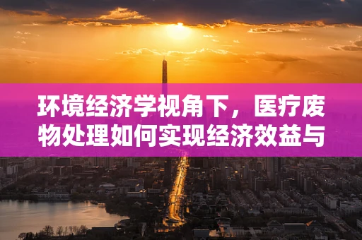 环境经济学视角下，医疗废物处理如何实现经济效益与环境保护的双赢？