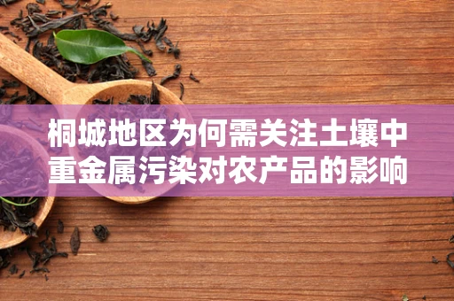 桐城地区为何需关注土壤中重金属污染对农产品的影响？