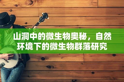 山洞中的微生物奥秘，自然环境下的微生物群落研究