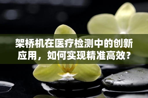 架桥机在医疗检测中的创新应用，如何实现精准高效？