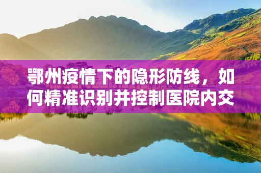 鄂州疫情下的隐形防线，如何精准识别并控制医院内交叉感染？