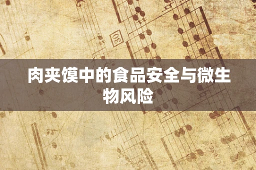 肉夹馍中的食品安全与微生物风险