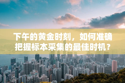 下午的黄金时刻，如何准确把握标本采集的最佳时机？