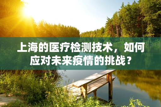 上海的医疗检测技术，如何应对未来疫情的挑战？