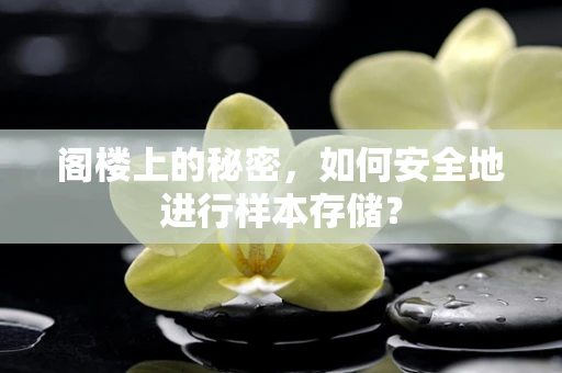 阁楼上的秘密，如何安全地进行样本存储？