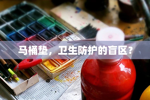 马桶垫，卫生防护的盲区？