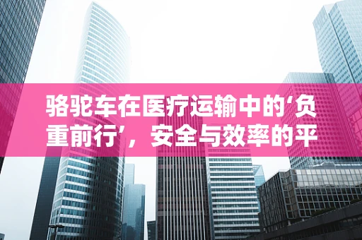 骆驼车在医疗运输中的‘负重前行’，安全与效率的平衡点在哪里？