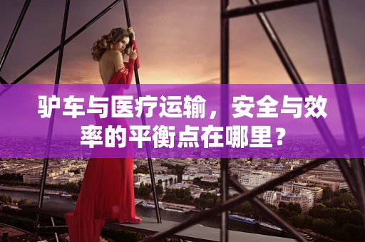 驴车与医疗运输，安全与效率的平衡点在哪里？