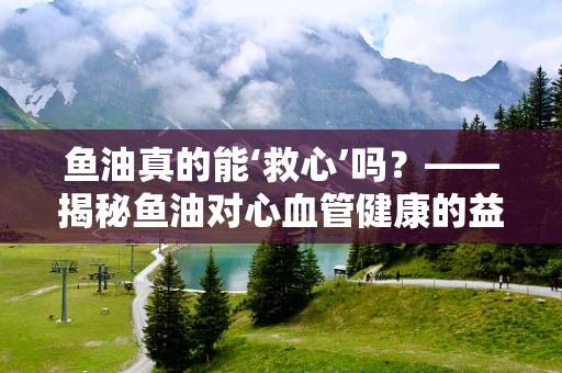 鱼油真的能‘救心’吗？——揭秘鱼油对心血管健康的益处