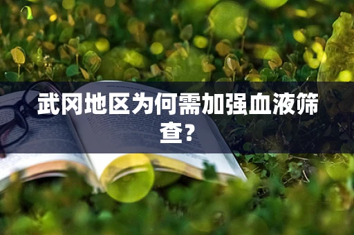 武冈地区为何需加强血液筛查？