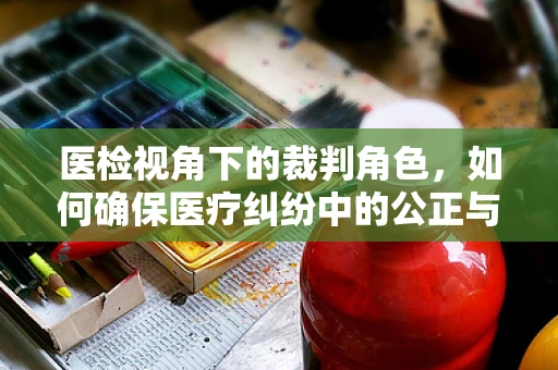 医检视角下的裁判角色，如何确保医疗纠纷中的公正与准确？