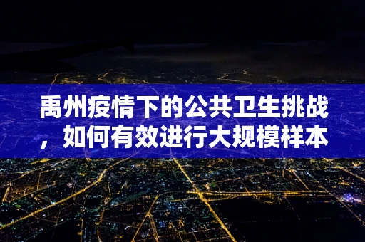禹州疫情下的公共卫生挑战，如何有效进行大规模样本检测？