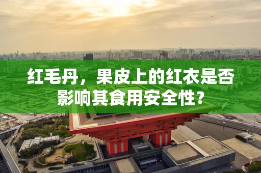 红毛丹，果皮上的红衣是否影响其食用安全性？