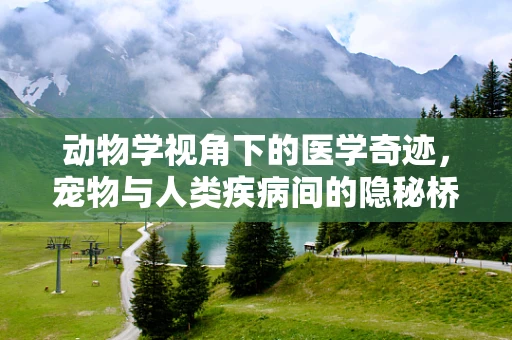 动物学视角下的医学奇迹，宠物与人类疾病间的隐秘桥梁
