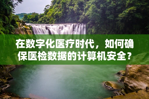 在数字化医疗时代，如何确保医检数据的计算机安全？