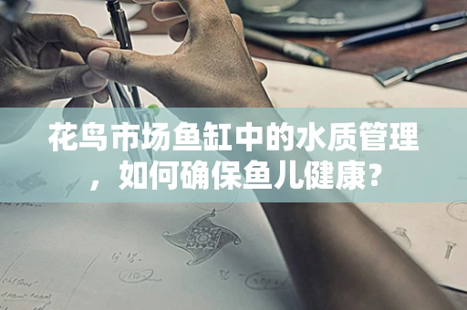 花鸟市场鱼缸中的水质管理，如何确保鱼儿健康？