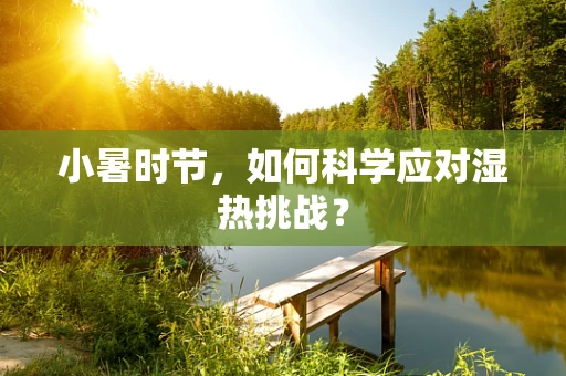 小暑时节，如何科学应对湿热挑战？