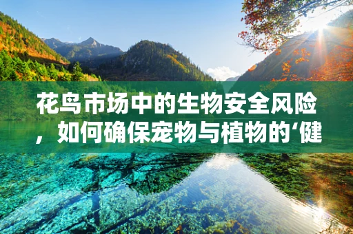 花鸟市场中的生物安全风险，如何确保宠物与植物的‘健康共处’？