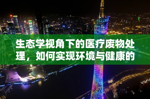 生态学视角下的医疗废物处理，如何实现环境与健康的双重保护？