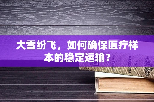 大雪纷飞，如何确保医疗样本的稳定运输？